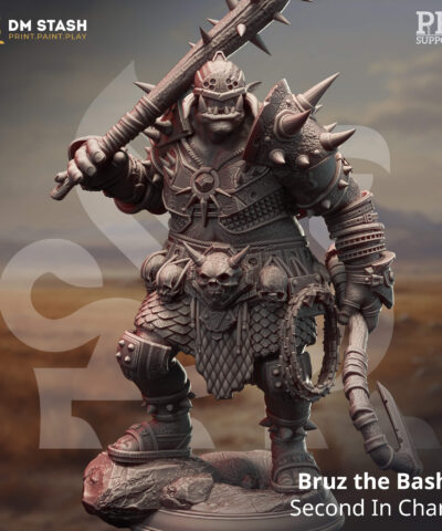 Bruz the Basher - Second in Charge -  DM-Stash