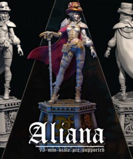 Aliana, the Time Traveler - Dungeons and Maidens
