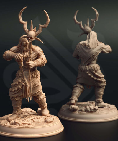 An orc shaman wielding a staff with a human skull on top.