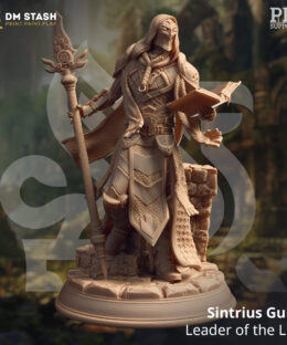 A masked mage holding a staff and book while wearing robes