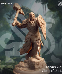 A Masked warrior holding a big hammer and shield in attack position.