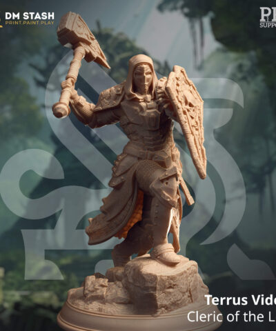 A Masked warrior holding a big hammer and shield in attack position.