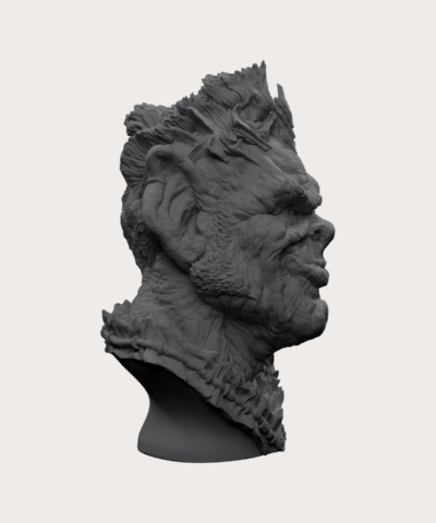 Alternative view of Orc Chief Nakhbruh Bust - Ben Dansie
