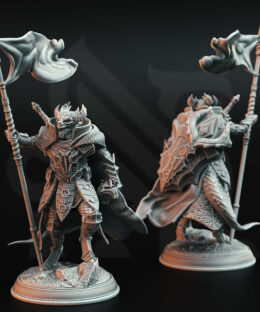 A Dragon humanoid holding with a flag