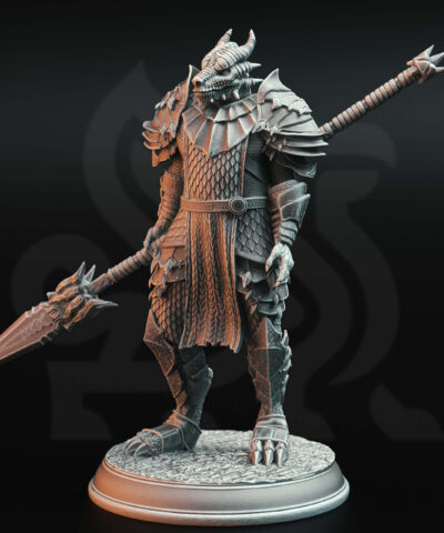A Dragon humanoid holding a spear