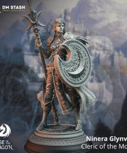 An elf with a halbert and shield