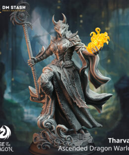 A dragon humanoid holding a staff and magic