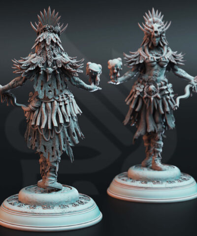 Alternative view of Driga - Colossal Blood Shaman - DM-Stash