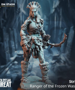 Strika - Ranger of the Frozen Wastes - DM-Stash