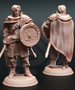 Alternative view of Arion Midrun - Human Fighter - DM-Stash