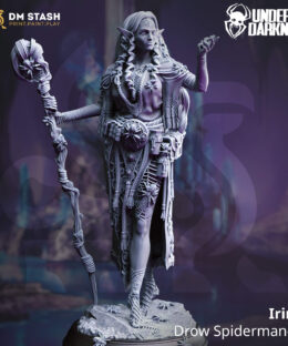 Irinia - Drow Spidermancer - DM-Stash