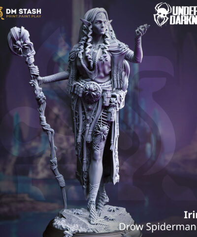 Irinia - Drow Spidermancer - DM-Stash