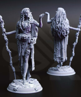 Alternative view of Irinia - Drow Spidermancer - DM-Stash