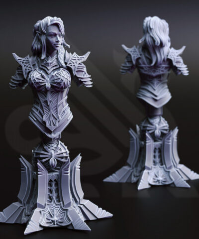 Alternative view of Vakara'n Thara Drow assassin bust - DM-Stash
