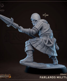 Farlands Militia 4