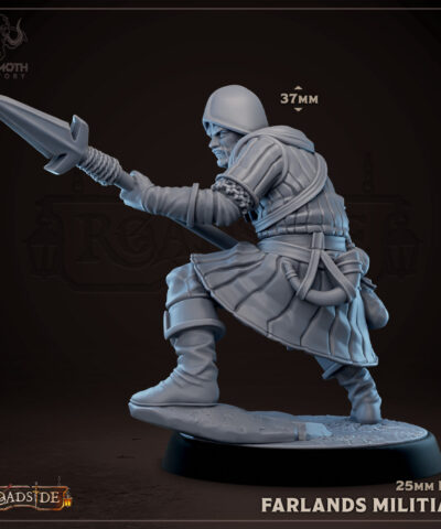 Farlands Militia 4