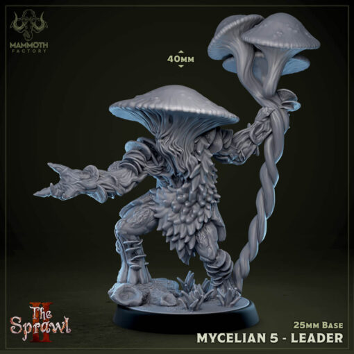 Mycelian 5 Leader