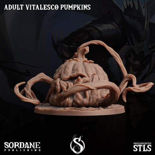 Adult Pumpkin - Image 3