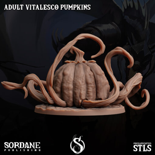 Adult Pumpkin - Image 4