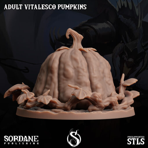 Adult Pumpkin 3