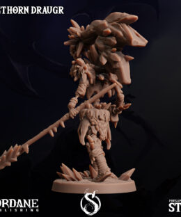 Alternative view of Icetorn Draugr 2