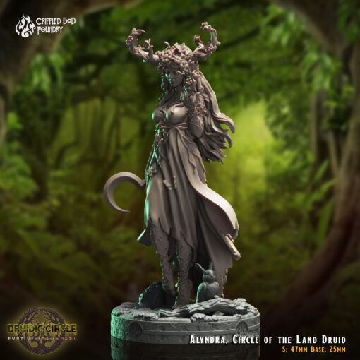 Alyndra, Circle of the Land Druid - Image 3