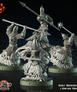 Ghost Warriors Set