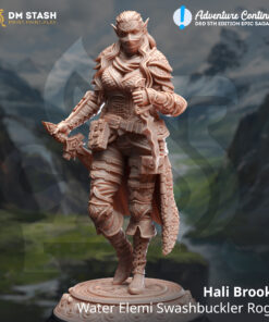 Hali Brookes - Water Elemi Swashbuckler Rogue