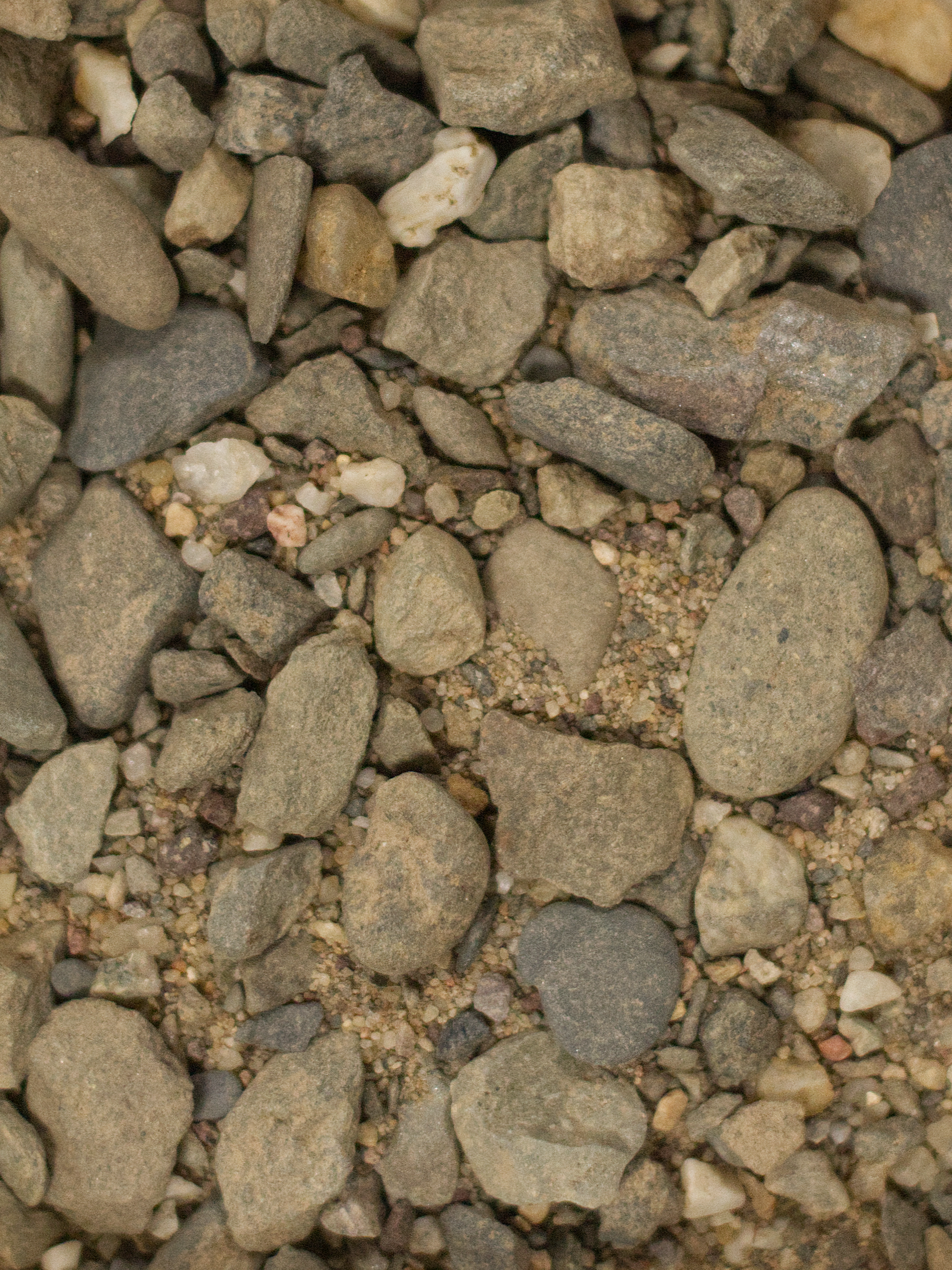 Riverbed