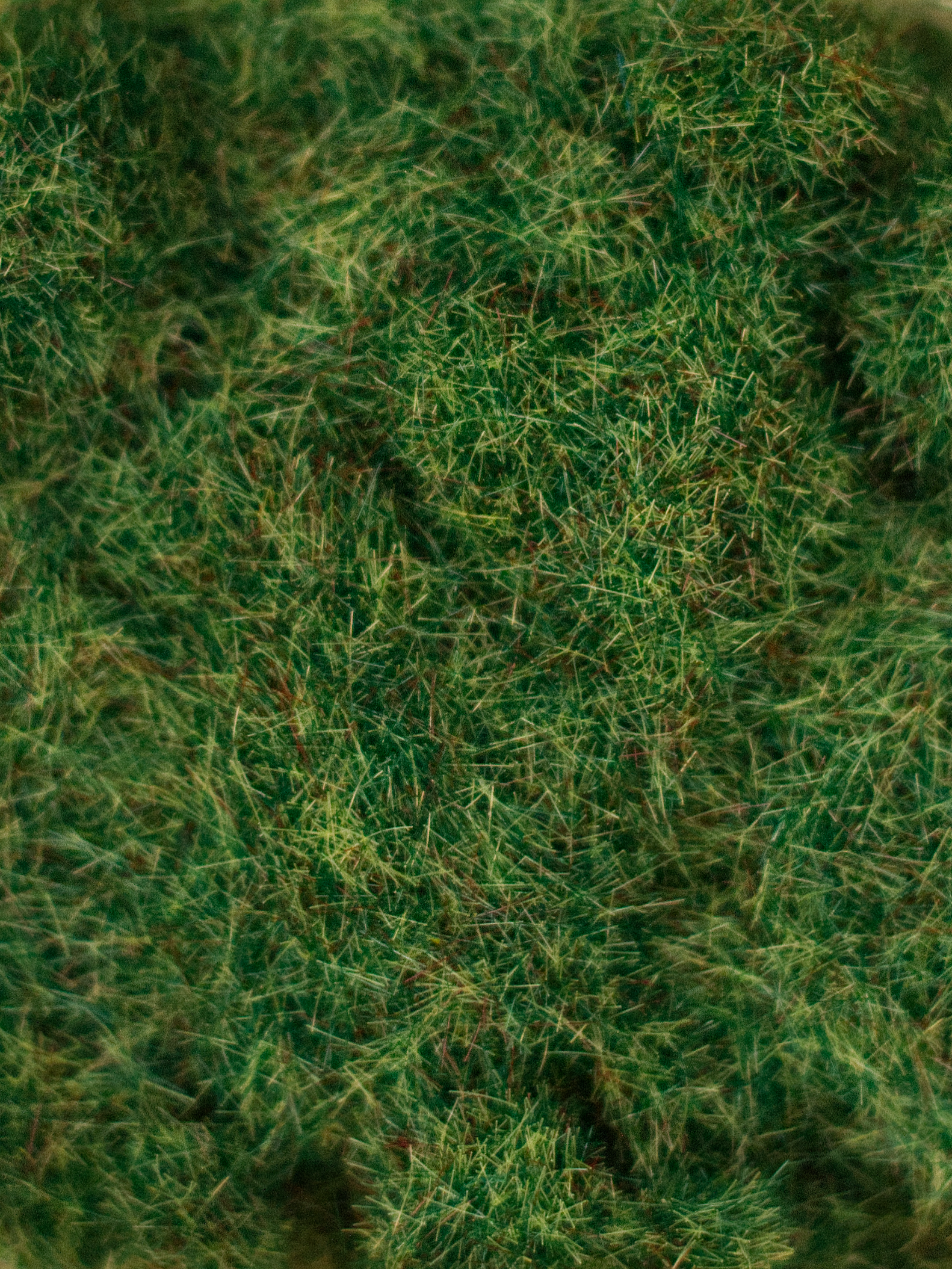Static Grass Summer 4mm