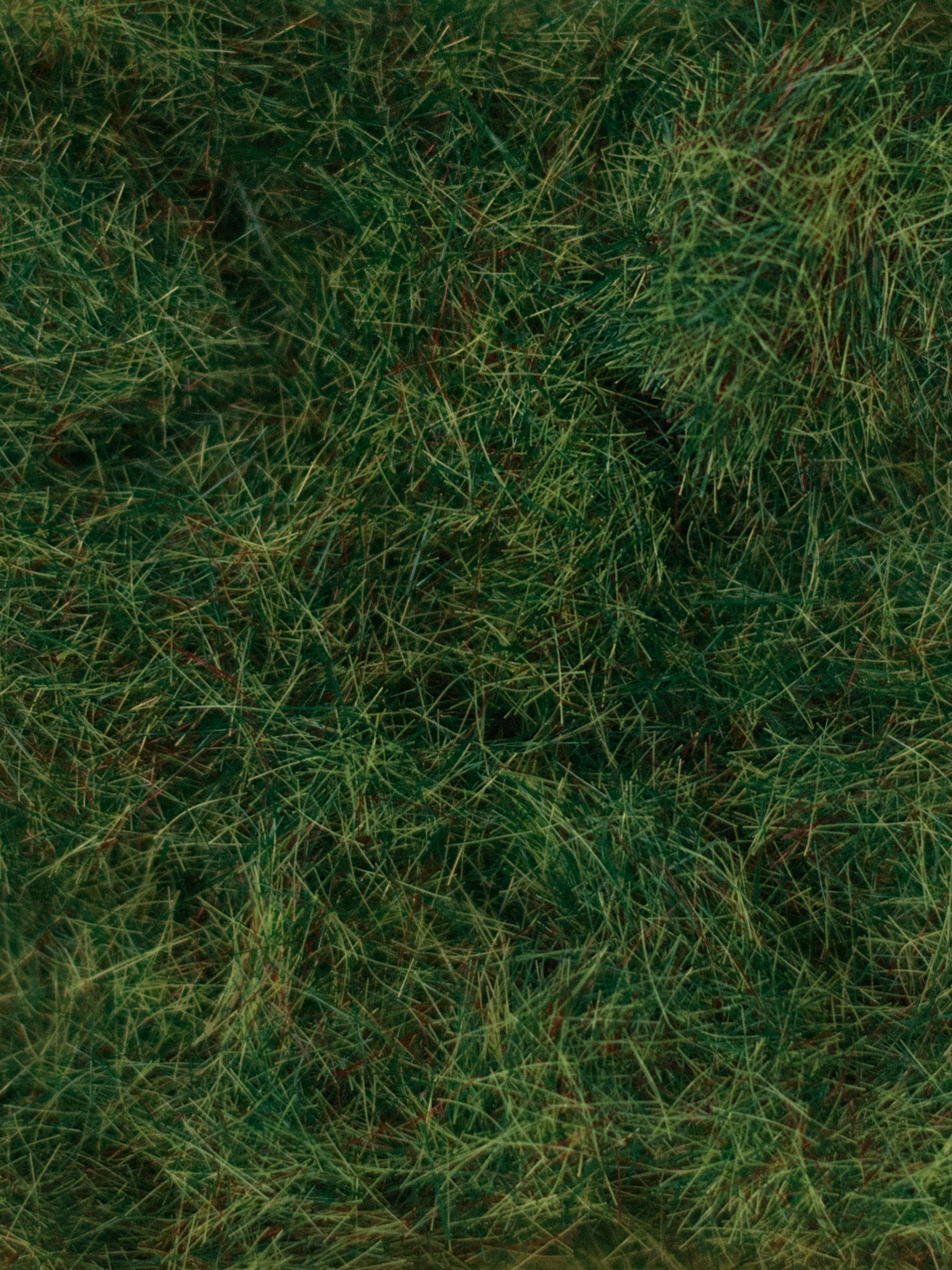 Static Grass Summer 6mm