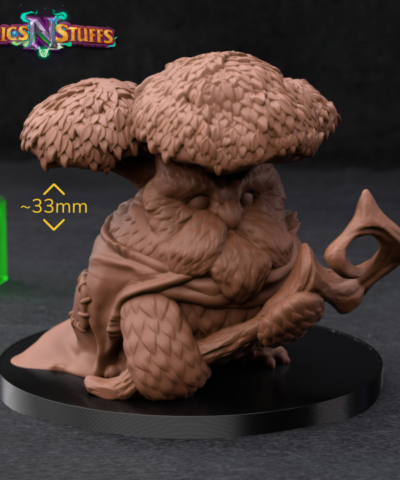 Druid Owlkin