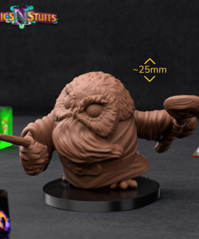 Wizard Owlkin