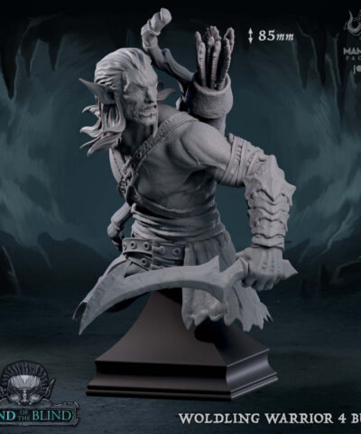 Wolding Warrior Bust