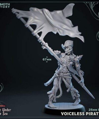 Voiceless Pirate 2