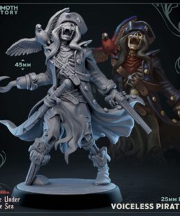 Voiceless Pirate Captain