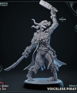 Voiceless Pirate 4