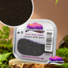 common earth dark