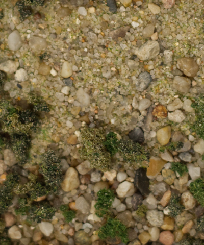soil of sparta