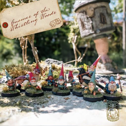 Gnome Adventures Full collection