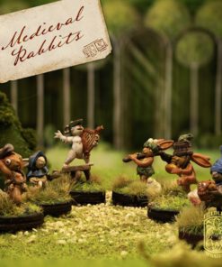 Medieval Rabbits Collection
