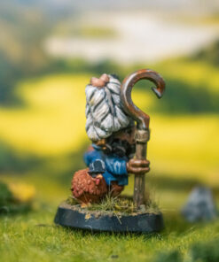 Henrietta, a chicken brigand