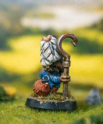 Henrietta, a chicken brigand