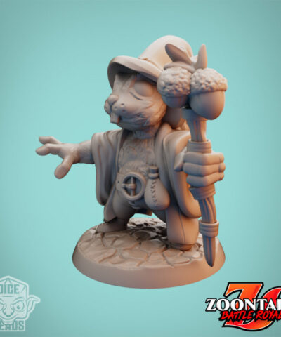 squirrel Wizard