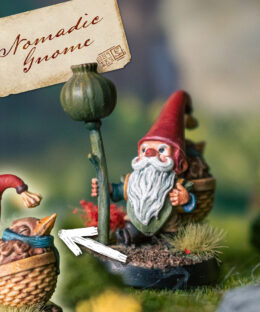 Nomadic Gnome carrying Baby Bird