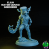 Ellis Water Genasi Sorcerer