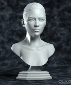 Female Academic bust