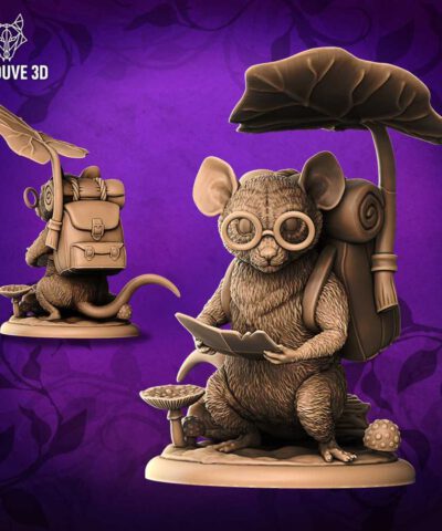Mouse Adventurer