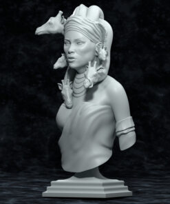 Aadila, Mother of Giraffes