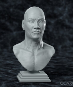 Academic Human Elder bust